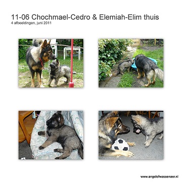 Chochmaël-Cedro & Elemiah-Elim zijn thuis in Huizen